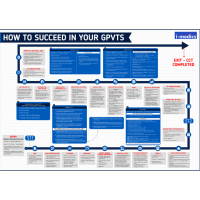 How to Succeed in Your GPVTS: HUGE A1 Journey Poster